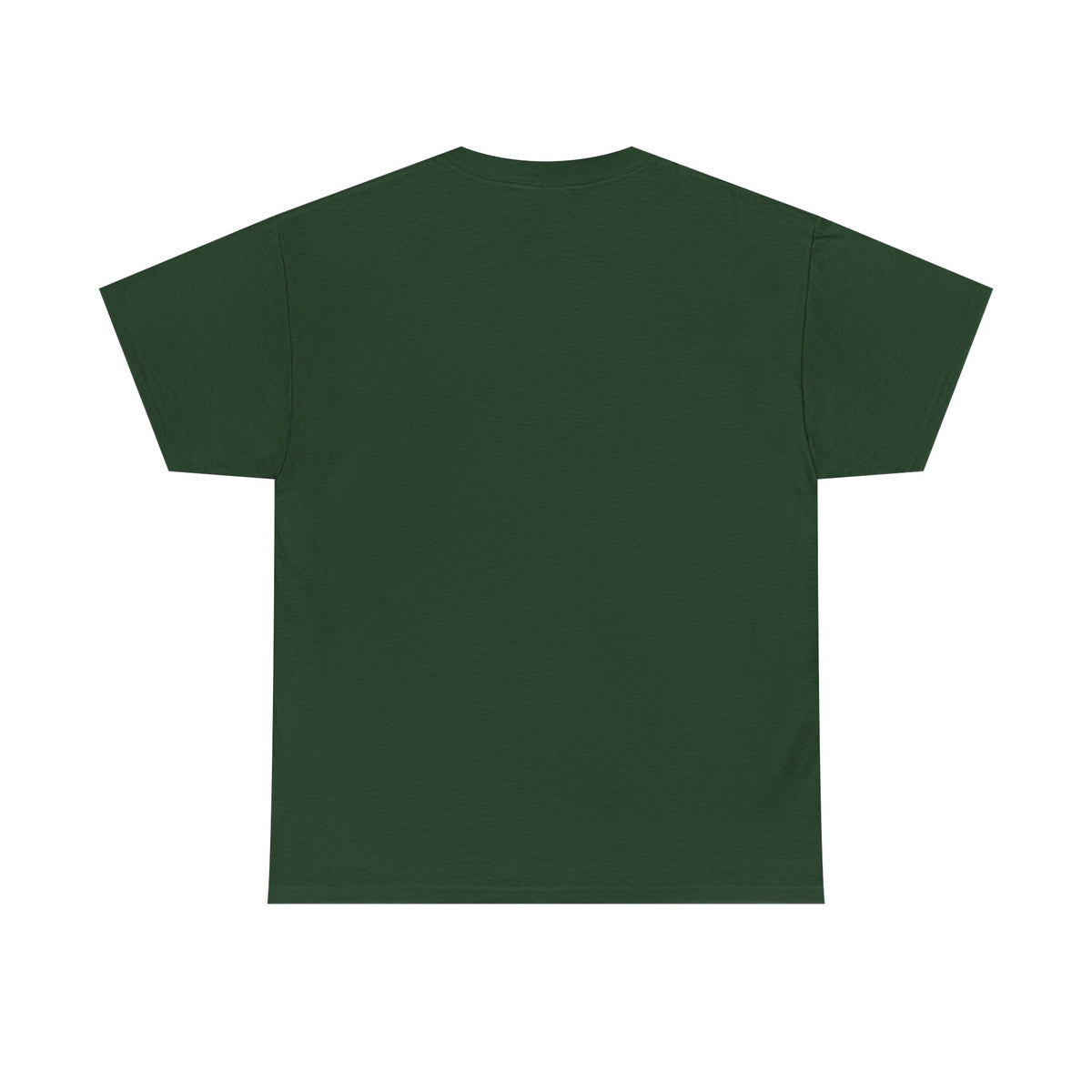 I Coach from the Sidelines T-Shirt — Cheerleader/Supporter Sideline Coach Tee