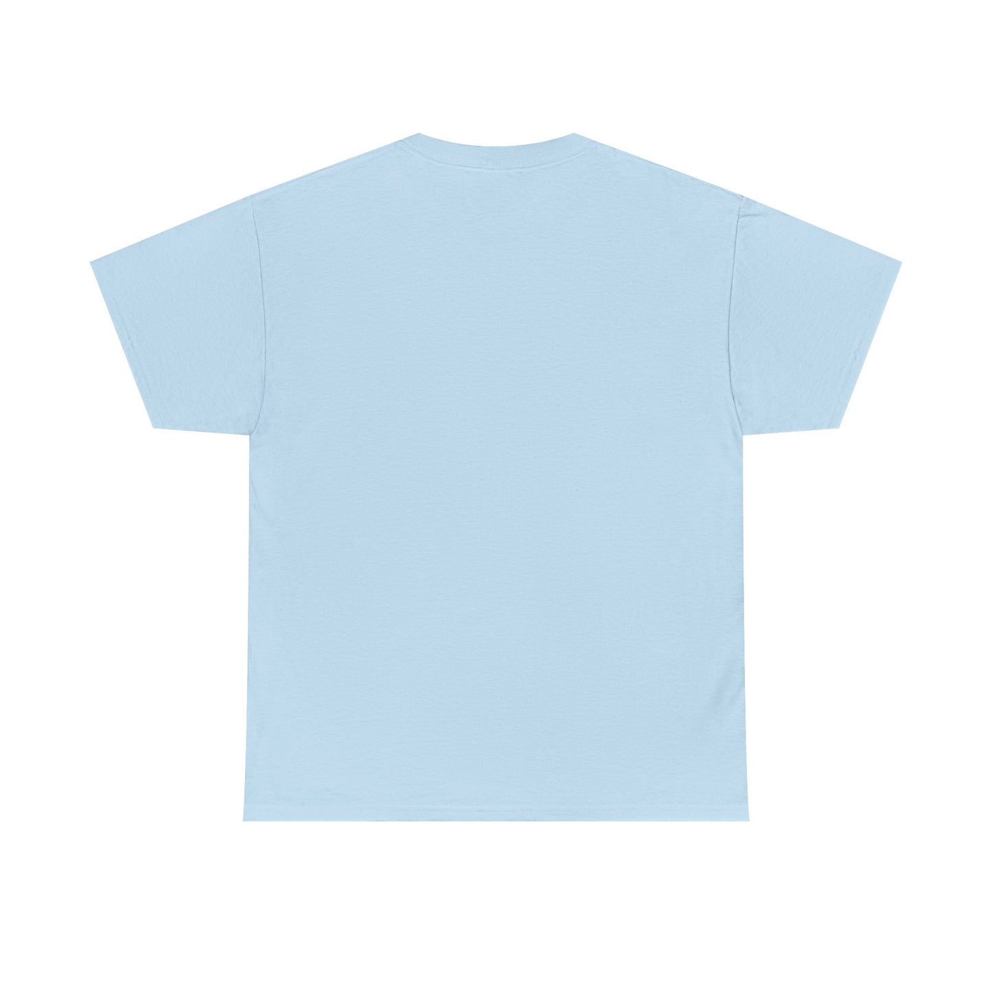 I Coach from the Sidelines T-Shirt — Cheerleader/Supporter Sideline Coach Tee