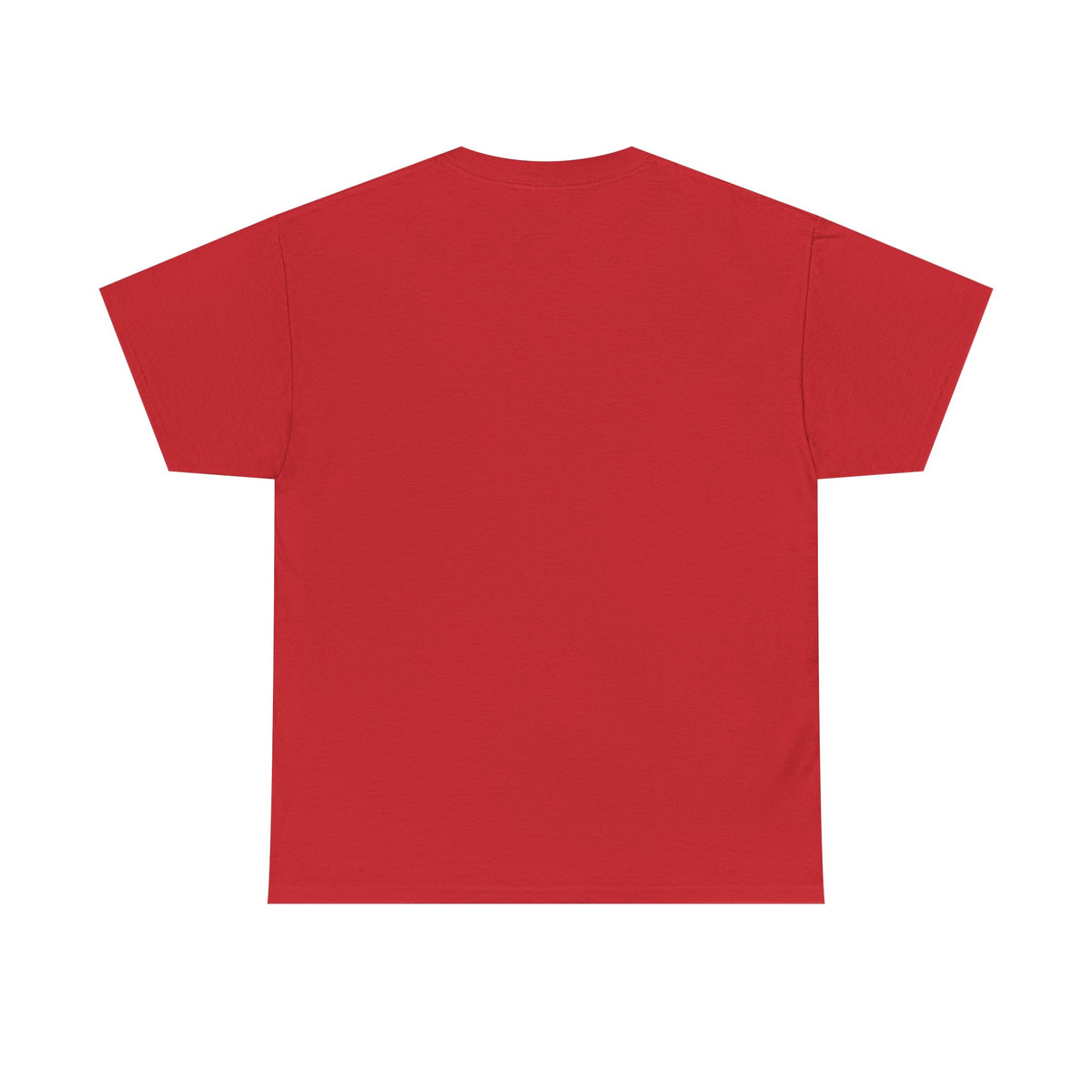 I Coach from the Sidelines T-Shirt — Cheerleader/Supporter Sideline Coach Tee
