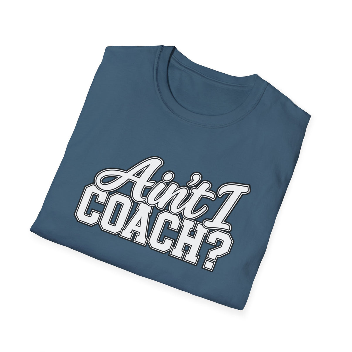 Ain't I Coach? T-Shirt — Funny Coach Tee