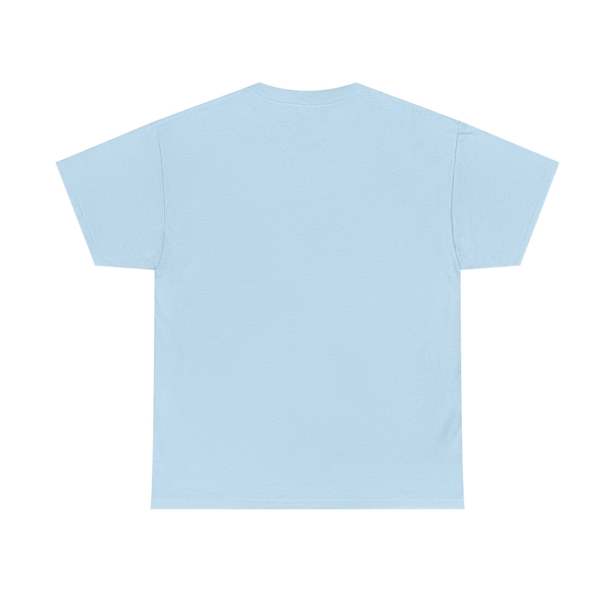 I Coach from the Sidelines T-Shirt — Cheerleader/Supporter Sideline Coach Tee