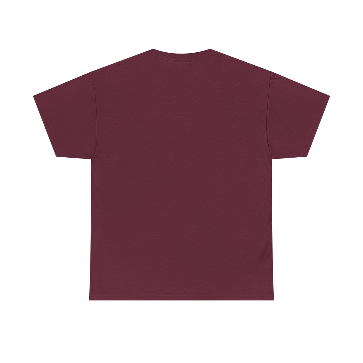 I Coach from the Sidelines T-Shirt — Cheerleader/Supporter Sideline Coach Tee