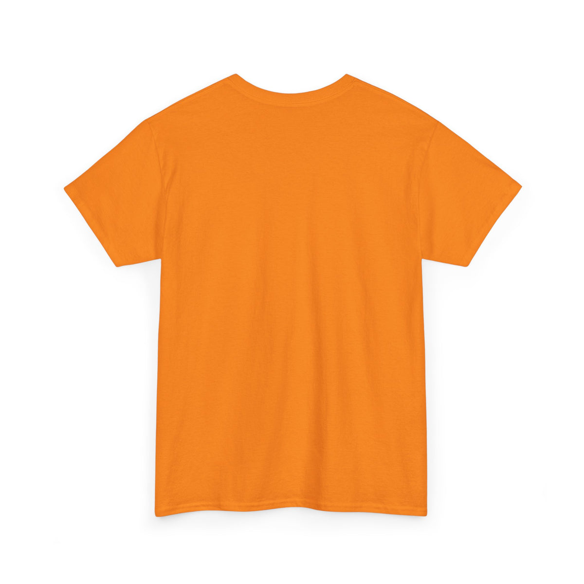 Basketball Is My Favorite Season T-Shirt