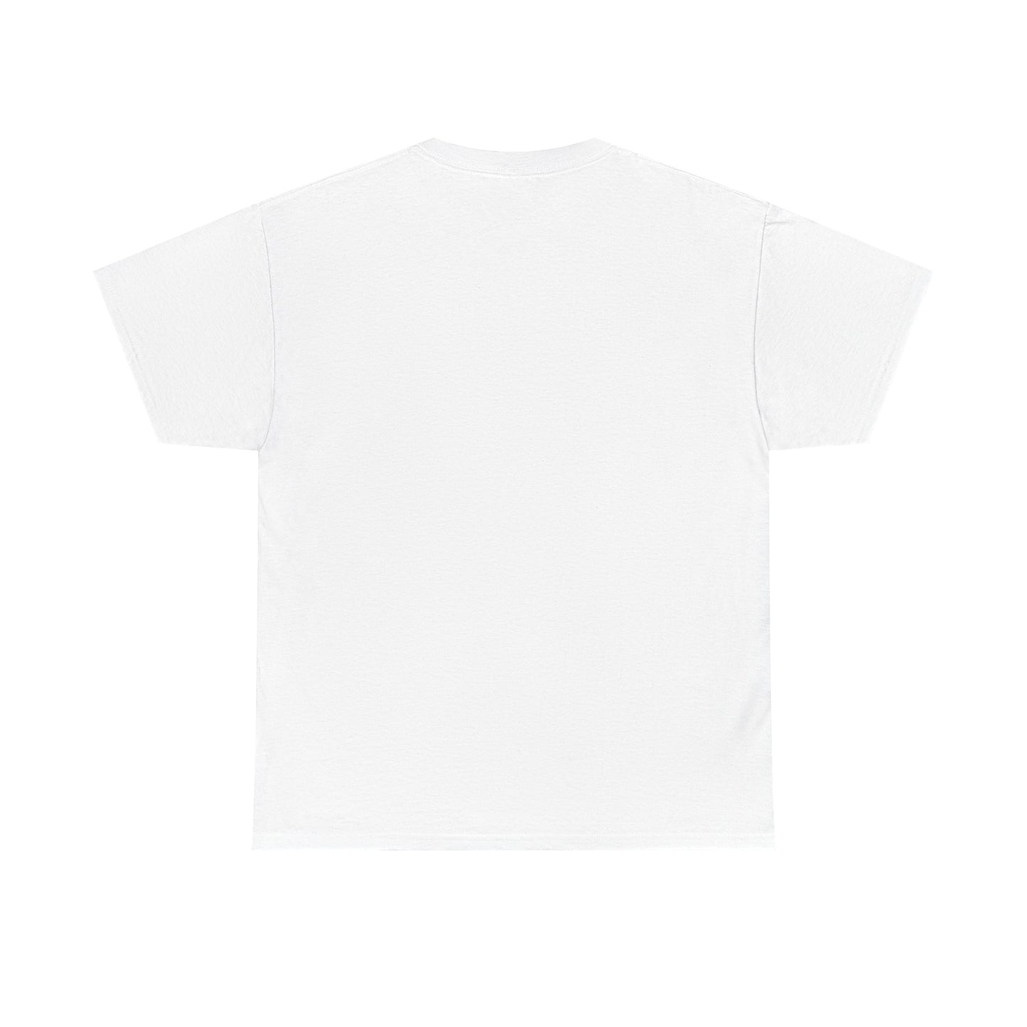 I Coach from the Sidelines T-Shirt — Cheerleader/Supporter Sideline Coach Tee