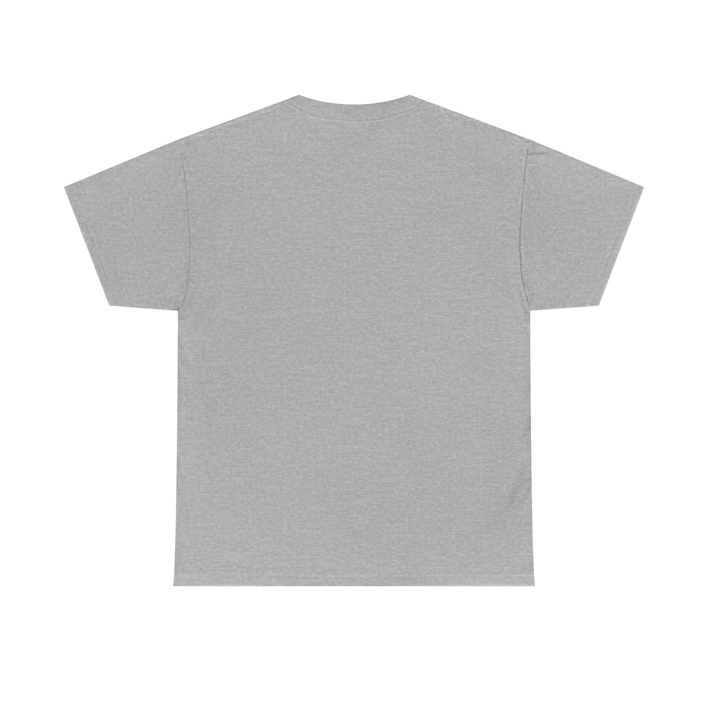 I Coach from the Sidelines T-Shirt — Cheerleader/Supporter Sideline Coach Tee