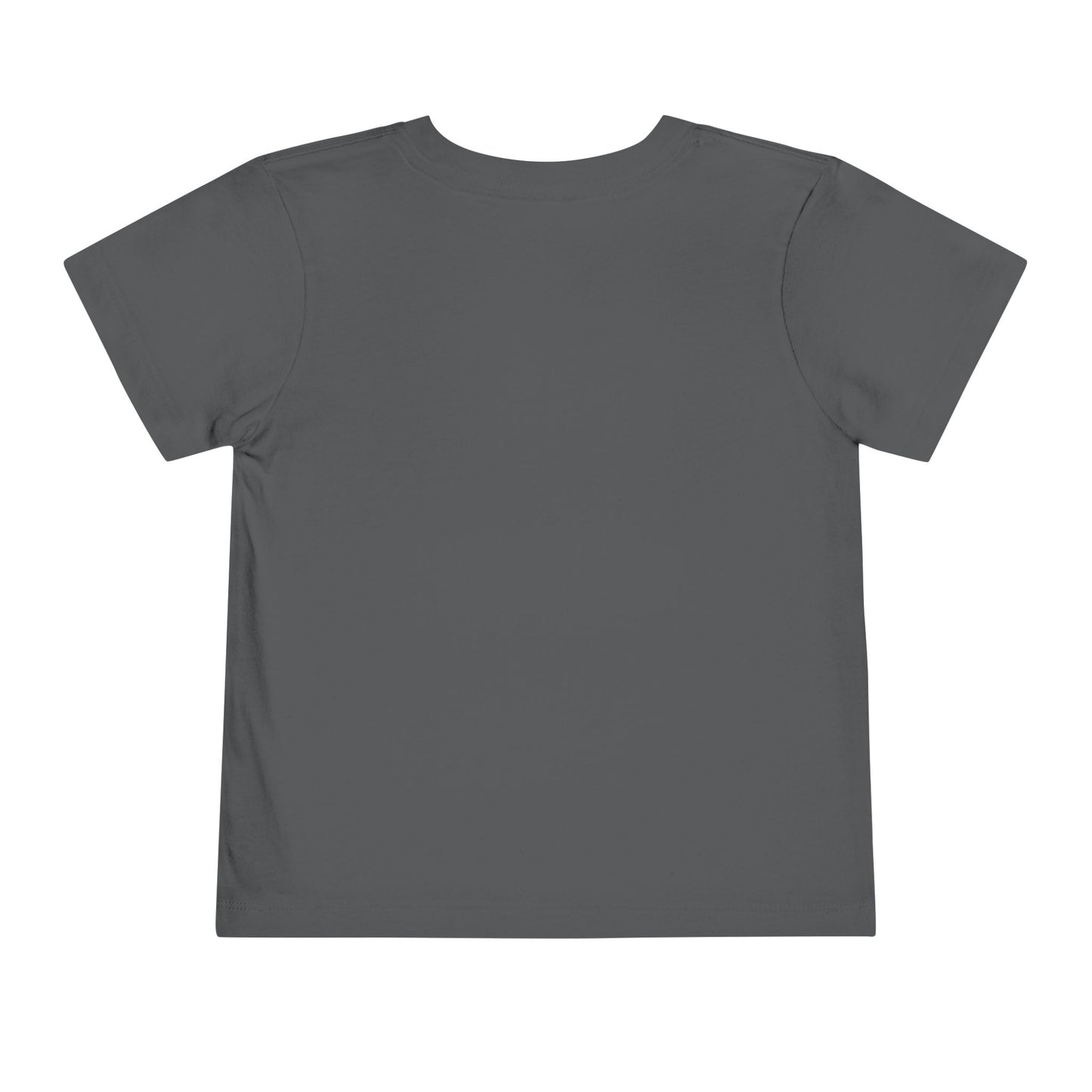 Baseball Sister Toddler Tee