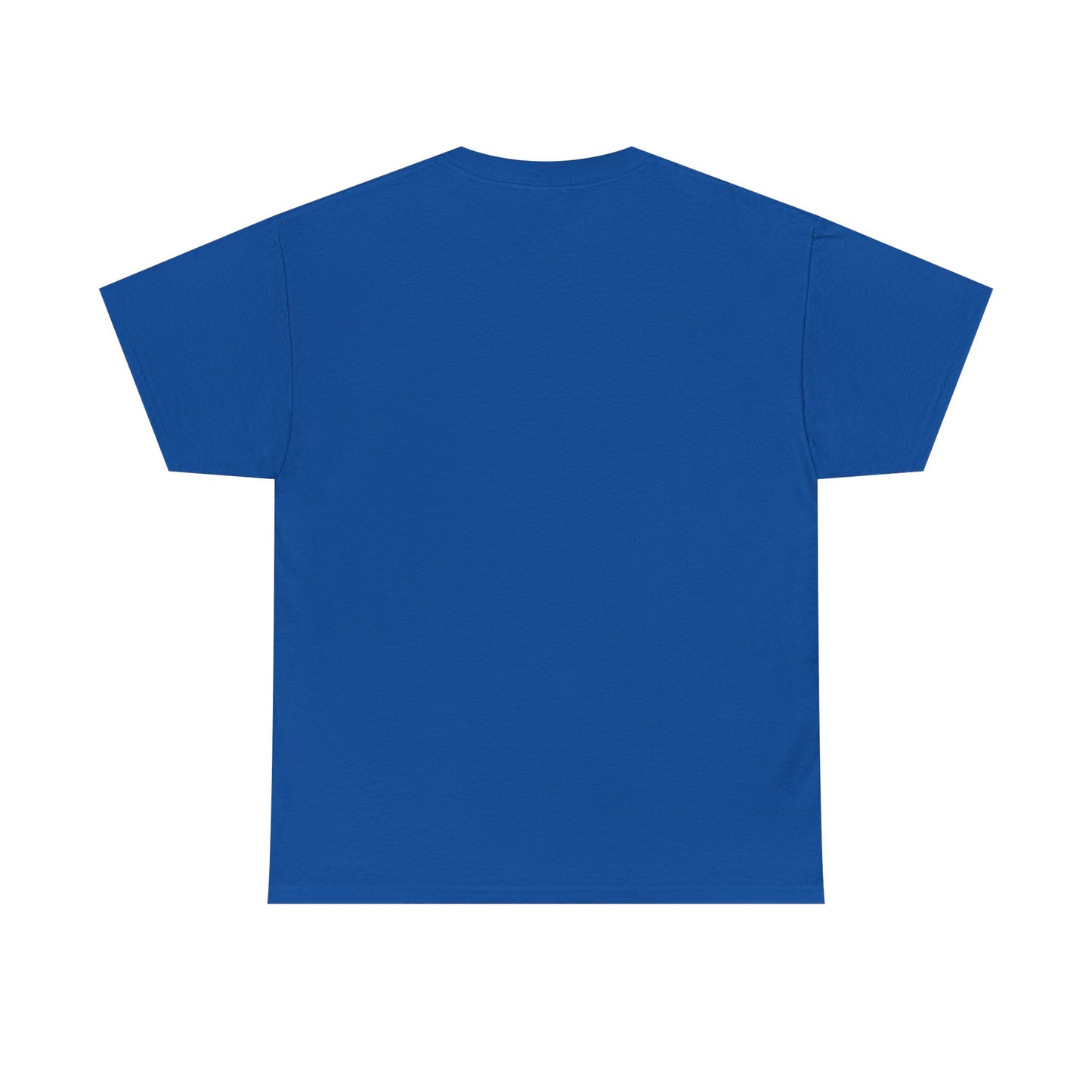 I Coach from the Sidelines T-Shirt — Cheerleader/Supporter Sideline Coach Tee