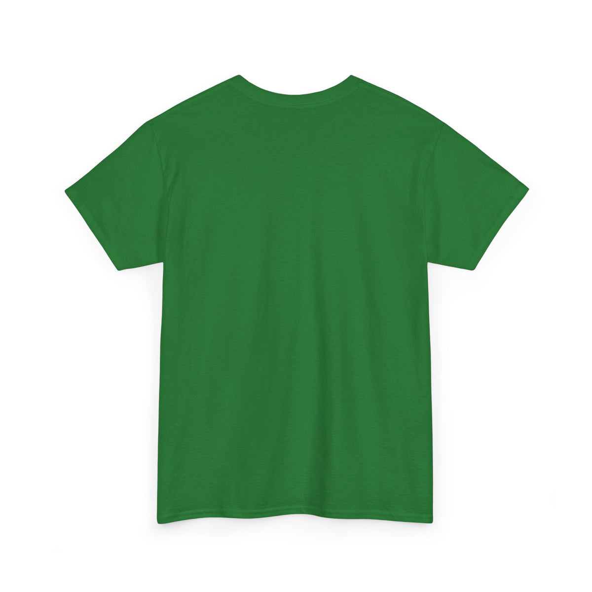 I Coach from the Sidelines T-Shirt — Cheerleader/Supporter Sideline Coach Tee